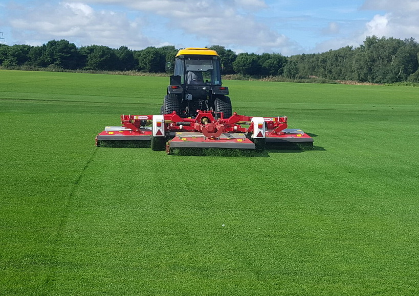 Fresh turf rolls ready for delivery